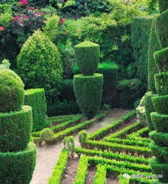 园林绿化施工五大要点详解