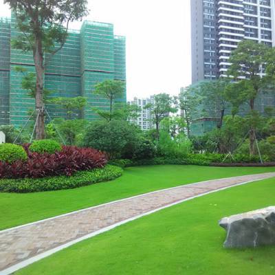 中山地产绿化园林施工价格解析 佛岭景观的专业视角